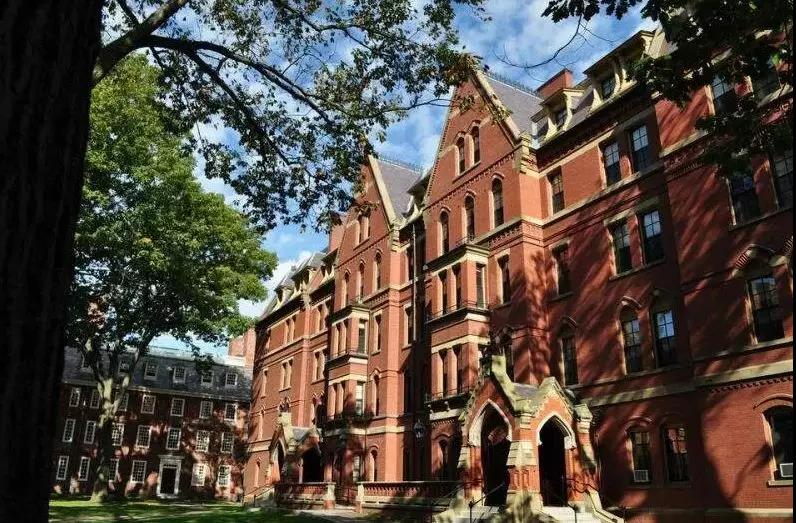 1528341604450802.jpg 2.jpg