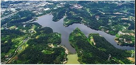 1533517947566705.jpg 微信图片_20180806091111.jpg